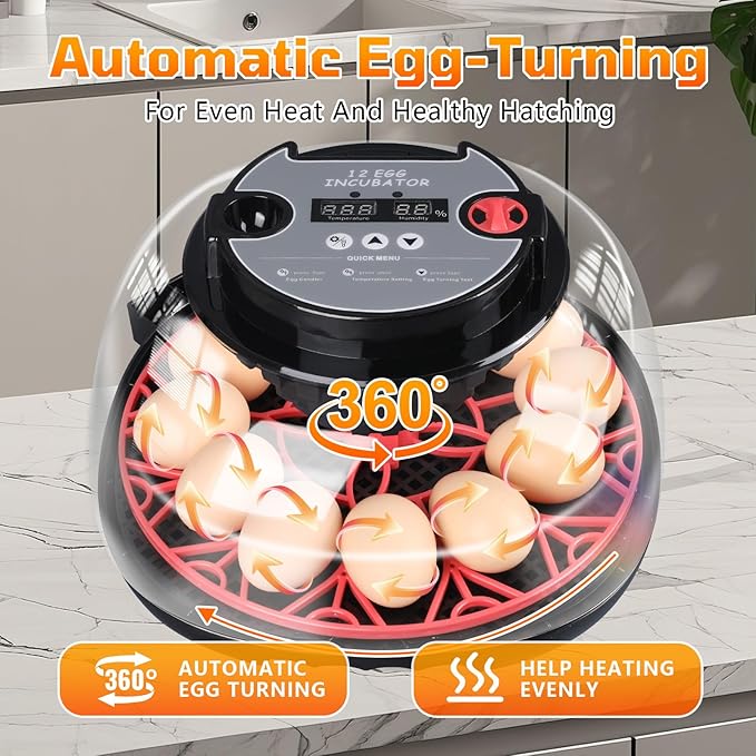12-Egg Incubator, Automatic Egg Turning Function, Humidity Control, External Water Bottle for Watering, 360° Observation, Suitable for Chickens, Ducks, Geese, and Quails - Image 4