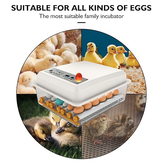 Egg Incubator,Egg Incubator with Automatic Egg Turning and Humidity Control,Poultry Hatcher for Chickens Ducks Birds (56 Eggs) - Image 2