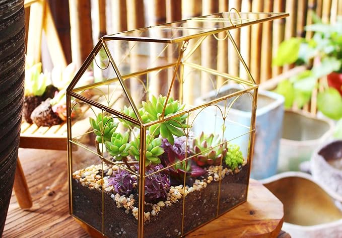Glass Geometric Plant Terrarium,Succulent & Air Planter for Home Garden Office Decoration (Gold House) - Image 5