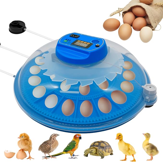 26-Egg Incubator with Automatic Egg Turning and Humidity Control | with 360° Viewing Window | Suitable for Hatching Eggs of Poultry &Reptiles Such as Chickens,Ducks,Geese,Quails,Parrots,etc by Ywingda