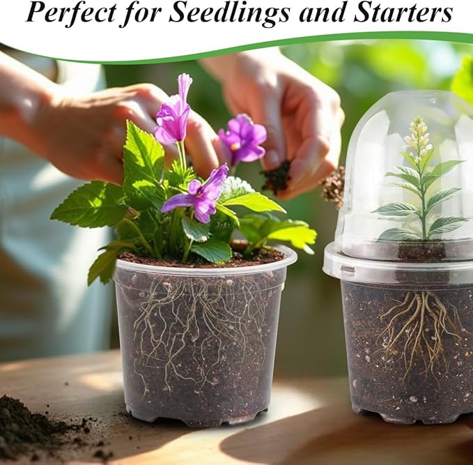 Transparent Nursery Pots 4Inch with Humidity Domes for Seeds Starting, Clear Plastic Plant Pots with Drainage Holes (4Inch, 30Pcs,Clear Pots with Lids) - Image 7