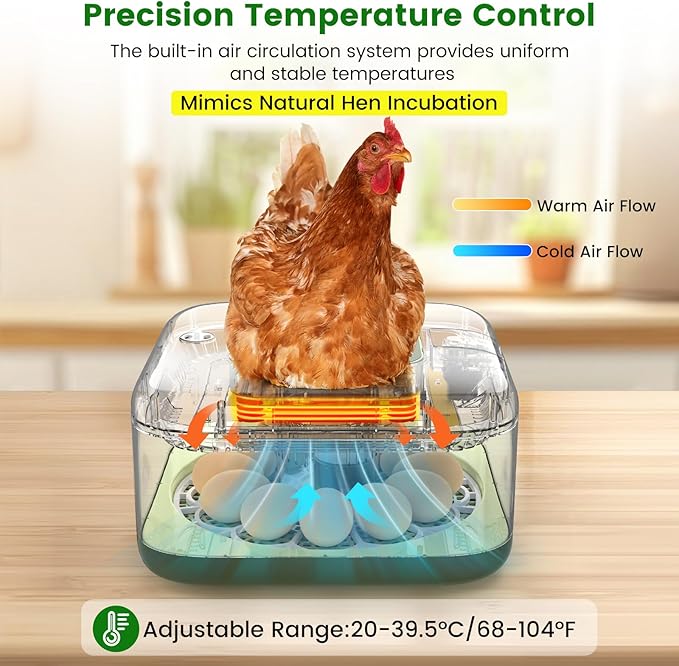 12 Egg Incubator with Automatic Turning, Auto Water Refill & Temp/Humidity Control, Plus Hatching Guide, Digital Hatcher for Chicken, Duck, Quail, Pigeon Eggs & More - Image 4