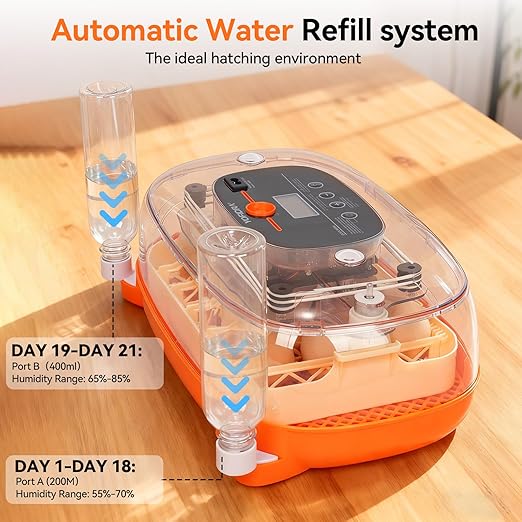 Incubators for Hatching Eggs, 24 Egg Incubator, Automatic Egg Turner with Humidity Control & Digital Temperature, Hatch Day, Auto Water Refill, 360°Viewing for Chicken, Duck, Quail, Duck, Goose - Image 4