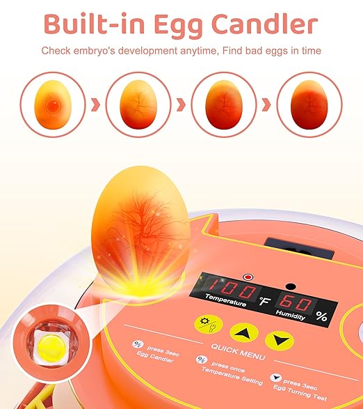 12 Egg Incubator for Hatching Eggs, Smart Temperature and Humidity Control, Automatic Egg Turning, Incubator for Hatching Chicken, Quail, Duck Eggs, 360° Clear View for Home, Classroom, Farm - Image 5