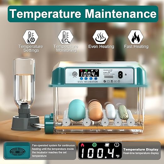 Incubators for Hatching 16 Eggs, Egg Incubator with Automatic Egg Turning and Humidity Fill, Temperature Control, Incubator with Adjustable Rollers for Chickens, Ducks, Geese, and Quails - Image 2