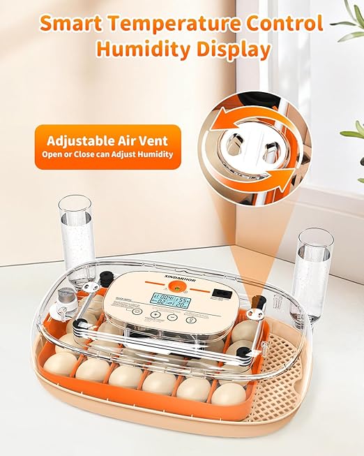 Egg Incubator for 24 Chicken Eggs with Automatic Turner, Digital Temperature Control & Humidity Display, Candler, Poultry Hatcher for Chicken, Duck, Quail, Birds (Orange) - Image 2