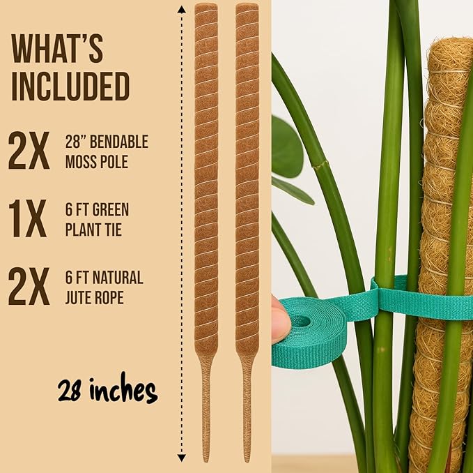 Moss Pole Monstera Plant Support – 2 Pack 28” Bendable Moss Pole Monstera Plant Support, Plant Stakes for Indoor Plants, Tall Plant Sticks Support for Climbing Plants - Image 4