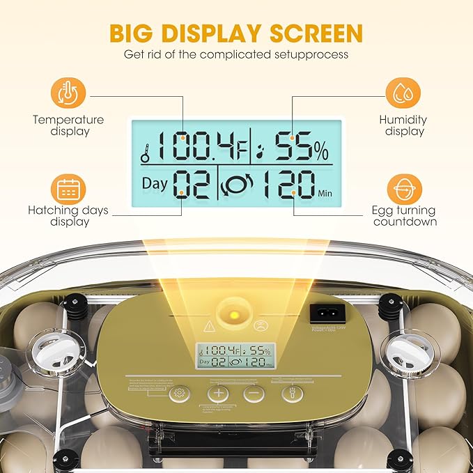 24 Egg Incubator for Hatching Eggs, Automatic Egg Turning, Temperature & Humidity Control, Egg Candler, for Hatching Chicken, Duck, Quail, Goose - Ideal for Farm, Classroom, Home Use - Image 2