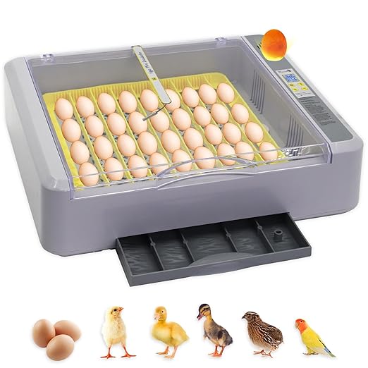 Automatic Egg Incubator, Automatic Egg Turner with Thermometer Control & Humidity Control, Egg Candler, 360°View,Incubator for Hatching Chicks-36 Egg Capacity by Abustle+pig