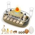 24 Egg Incubator for Hatching Eggs with Temperature and Humidity Control, Auto Turning & LED Candling for Chicken Duck Quail Birds, Ideal for Home Farm, Classroom, Beginners by Unknown