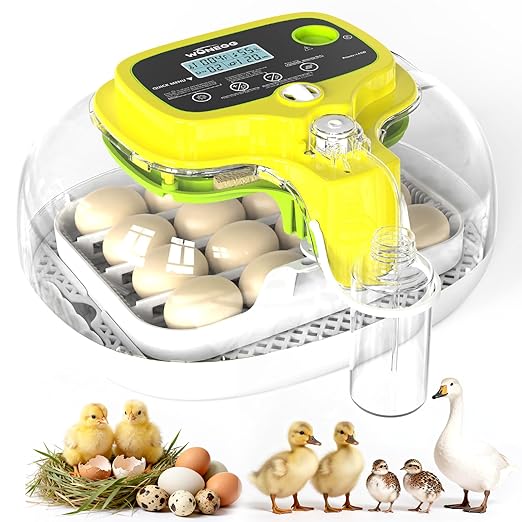 Incubators for Hatching Eggs, 2026 Upgraded 16 Eggs Incubator with Automatic Turner, Digital Temperature Control & Humidity Display and Led Candler, Poultry Hatcher for Chicken, Duck, Quail, Birds by DIGOAKO