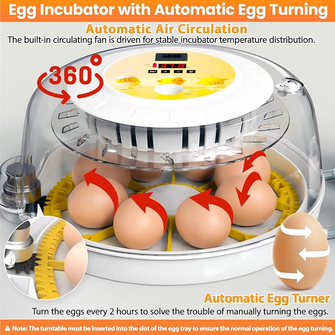 Egg Incubators for Hatching Eggs with Automatic Egg Turner, 8 Incubator for Chicken Eggs with Egg Candler for Chicken, Duck, Quail, Smart Egg Hatcher for Beginners & Kids - Image 2