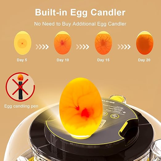 Incubator for Hatching Eggs-18 Egg Capacity, Automatic Egg Turner, Temperature & Humidity Control, 360° Viewing for Chicken, Duck and Quail Eggs - Image 3