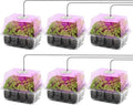 MIXC Seed Starter Kit with Grow Light, Elevated Seedling Tray Kit with Adjustable Humidity Dome and Clear Cell Tray, 12 Full Spectrum Led Beads for Seed Starting Greenhouse, 6 Pack, Transparent by MIXC