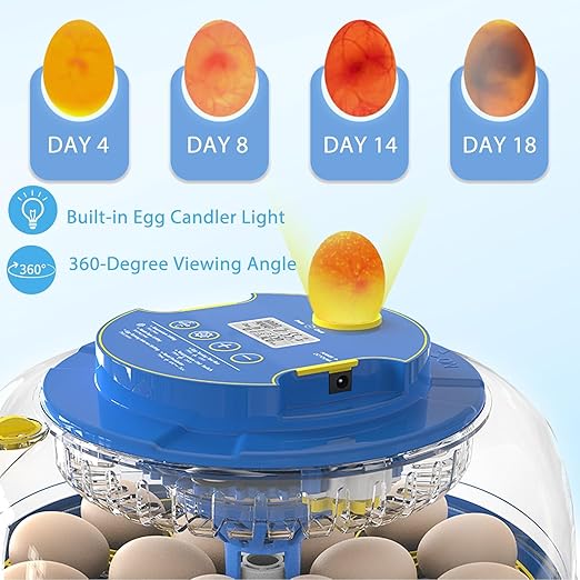 Incubators for Hatching Eggs, 18 Egg Incubator with Automatic Egg Turning and Humidity Control, 360° View Incubadora De Huevos De Gallina, Egg Candler, Incubator for Chicken Eggs, Ducks, Goose, Quail - Image 3