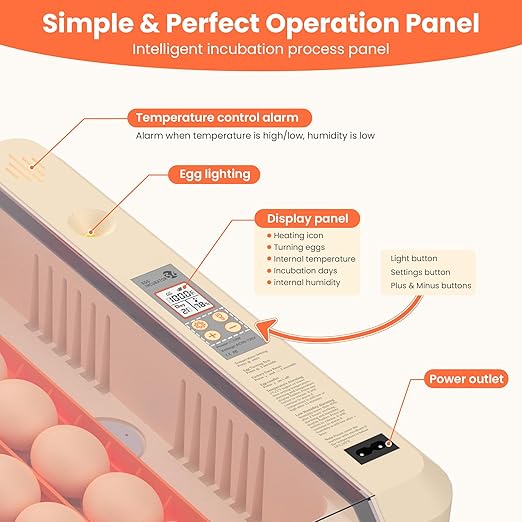 36-60 Egg Incubator with Automatic Egg Turning and Humidity Control, Adjustable Chicken Egg Incubator with Digital Display, for Hatching Eggs Include Chicken Duck Quail Eggs(Orange) - Image 2
