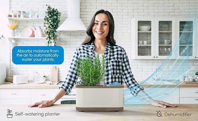 Eva-Dry Dewplanter Compact 2-in-1 Dehumidifier & Self-Watering Indoor Planter - Dehumidify Small Spaces While You Grow Your Favorite Small Plants, Herbs, and Succulents - Image 5