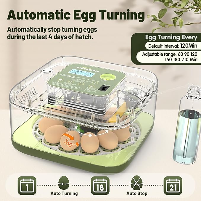 12 Egg Incubator with Automatic Egg Turning and Humidity Control, LED Egg Candling Light, Customized Incubation Days, Incubators for Hatching Eggs, Chicken Quail Parrot Pigeon Birds, Green - Image 4