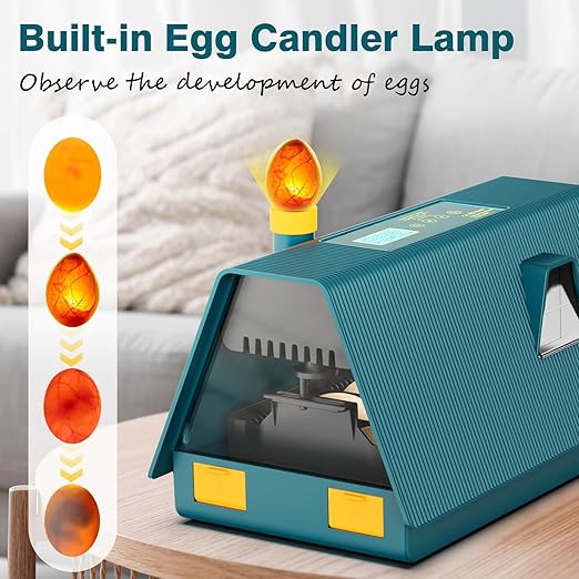 Incubator for Hatching Chicks, 10 Eggs Incubators with Automatic Egg Turning, Temperature and Humidity Control, Egg Candler, Hatching Incubator for Small Poultry, Chicken, Ducks (10 Eggs) - Image 3
