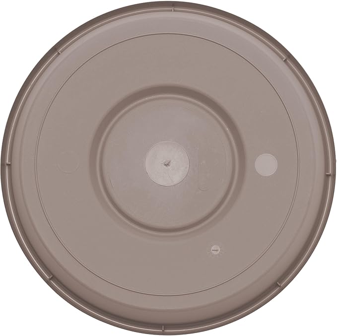 Bloem Terra Resin Saucer Tray: 6.5" Bottom Width - Pebble Stone Beige - Matte, Durable, Ribbed Bottom, Indoor and Outdoor, Fits 8" Terra Pots - Image 6