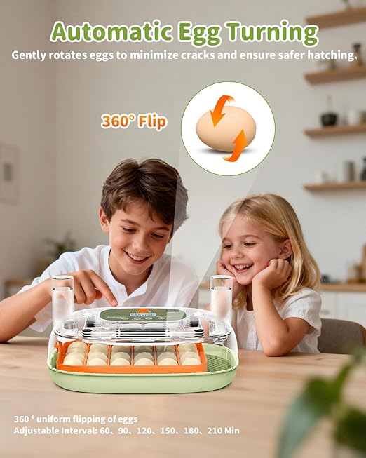 Egg Incubator for 24 Chicken Eggs with Automatic Turner, Digital Temperature Control & Humidity Display, Candler, Poultry Hatcher for Chicken, Duck, Quail, Birds (Green) - Image 4