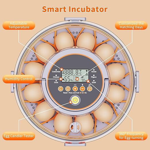 12 Egg Incubators for Hatching Eggs with Automatic Egg Turning & Humidity Control Intelligent Temp Eggs Candler for Chicken Quail Duck etc. Eggs, Suit for Beginner Backyard Hobbyist Students Education - Image 6