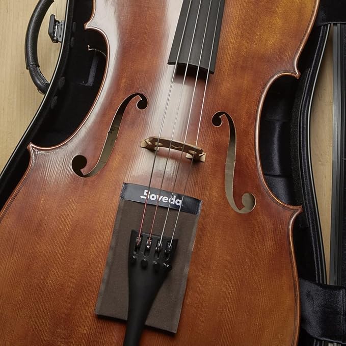 Boveda Double-Sleeve Fabric Holder for 49% RH | 2-Way Humidity Control for Large Instruments - Image 7
