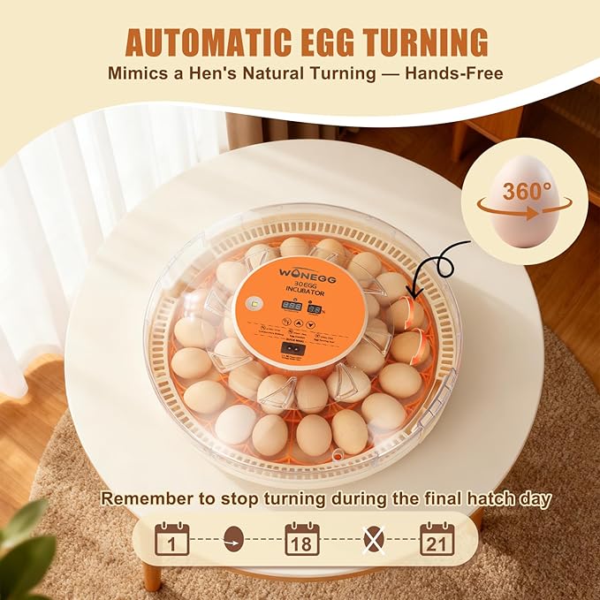 Core Max 30 Egg Incubator for Large-Batch Hatchers, Hands-On Control, Auto Egg Turning, Manual Water Fill, Consistent Temp, Real-Time Display, Candler for Chicken, Goose, Duck, Quail, Pigeon, Turkey - Image 4