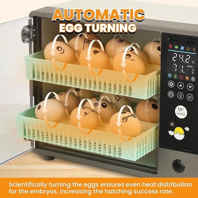 Incubators for Hatching Eggs, 24 Egg Incubator, Automatic Turning with Temperature & Humidity Control, Temp Display, for Chicken Duck Quail Goose Pigeon - Image 3
