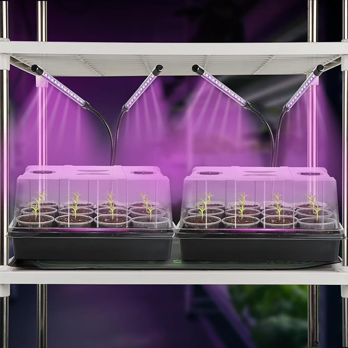 50p 3.5" Clear Nursery Pots with 4p Trays and 2p Adjustable LED Grow Lights – Transparent Plant Pots with Drainage Holes, Complete Seed Starter Kit with 5" Tall Humidity Dome for Plant Propagation - Image 8