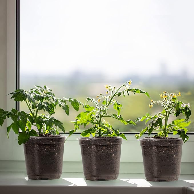 MIXC Clear Plant Nursery Pots with Humidity Dome 4" Soft Transparent Plastic Gardening Pot Planting Containers Cups Planter Small Starter Seed Starting Trays for Seedling with 10pcs Plant Labels - Image 6