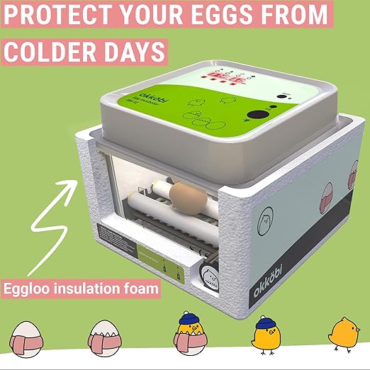 Incubators for Hatching Eggs - 12 Eggs - Ideal All Ages | Egg Incubator with Automatic Egg Turning and Humidity Control - Integrated Egg Candler - Okkobi OBI-12 - Image 6