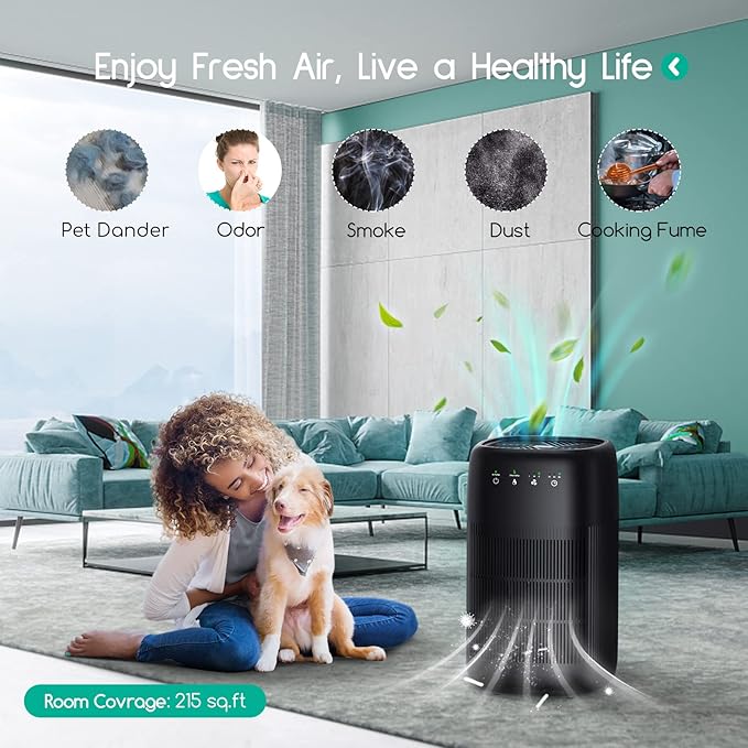 Afloia Air Purifier and Dehumidifier in 1, Air Purifier with Efficient Filter, Small Dehumidifier Combined with Air Cleaner, Remove Pet Odors Dust Smoke for Home, Bedroom, Bathroom - Image 3