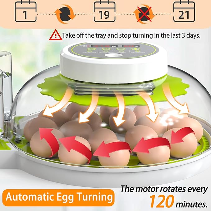 18/60 Egg Incubator with Humidity Display, Incubators for Hatching Eggs, Egg Candler, Automatic Egg Turner, Poultry Egg Incubator for Hatching Chicken Duck Goose Bird Quails- Green - Image 4