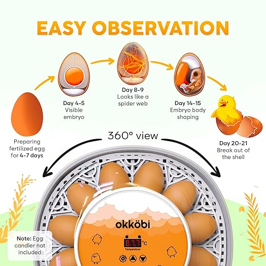 Okkobi M12 Egg Incubator with Automatic Turner and Humidity Control - 12/24 Eggs, 360° View, Easy to Use and Clean - Incubadora de Huevos de Gallina - Made for US - White & Orange - Image 4