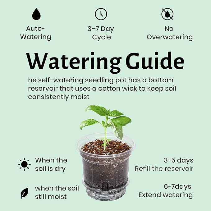 12 Pack 6.5 Inch Clear Self Watering Plant Pots with Bottom Water Tray & Watering Rope, Transparent Nursery Pots with Drainage for Seedlings, Herbs, and Houseplants - Image 6