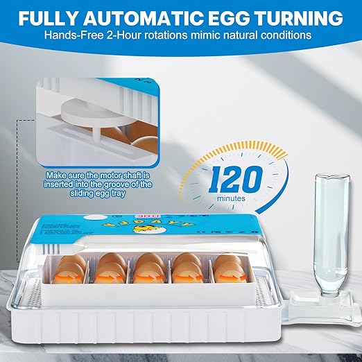 Incubators for Hatching Eggs 15-35 Eggs Incubator with Automatic Egg Turning and ℉Temperature Display LED Candler Poultry Incubator for Hatching Chicken Duck and Quail Incubator (Blue) - Image 5