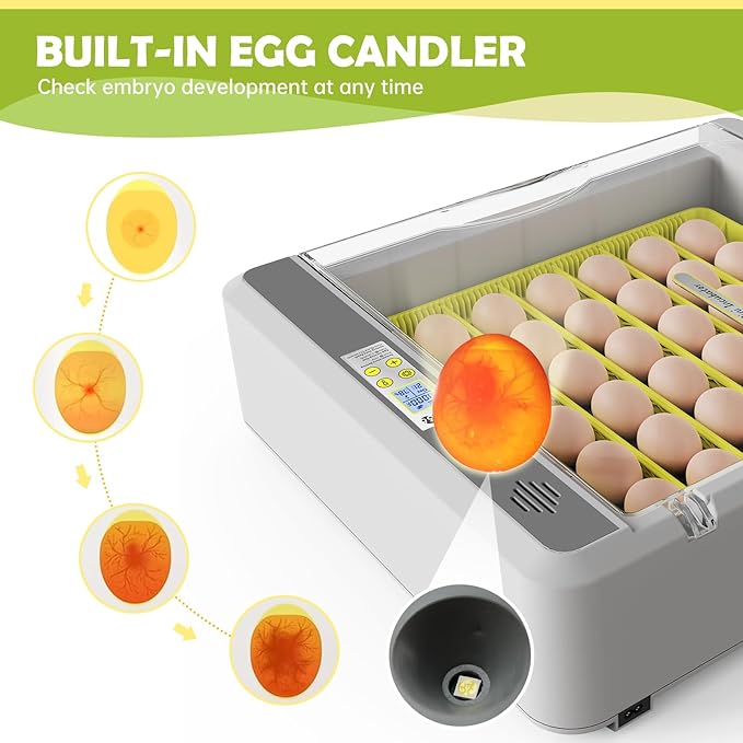 Egg Incubator for Hatching Chicks, 36 Eggs Automatic Turner with Temperature & Humidity Control, Multifunctional Ultra-Clear Panoramic View with Hatch Days & Egg Candler for Chicken, Duck, Goose, Bird - Image 5