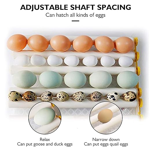 Egg Incubator,Egg Incubator with Automatic Egg Turning and Humidity Control,Poultry Hatcher for Chickens Ducks Birds (56 Eggs) - Image 3