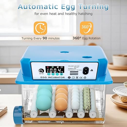 Automatic Egg Incubator 16 Egg Incubators for Hatching Eggs with Temperature Control Humidity Control and Display for Goose Chicken Duck Quail Pigeon Eggs Auto Turner, Blue - Image 6