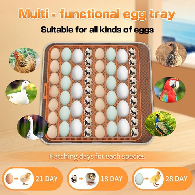 Automatic 56-Egg Incubator for Breeders, Sensor-Based Precise Humidity & Temp Control, Adjustable Egg Spacing, Auto Turn & Auto Stop, Preset Incubation Days, Candler, Chick Separator - Image 6