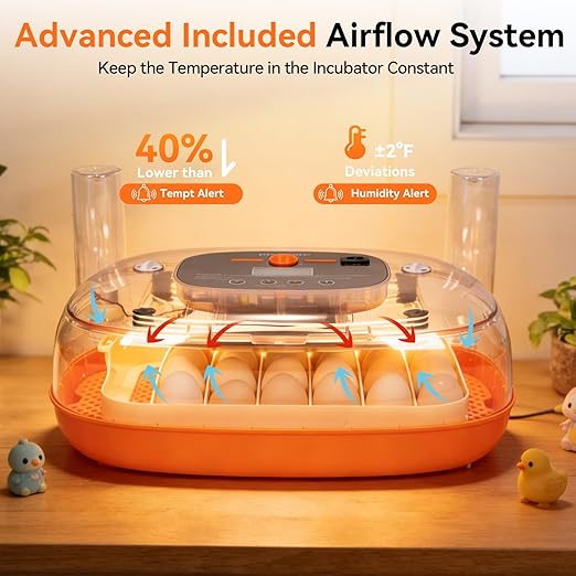 Incubators for Hatching Eggs, 24 Egg Incubator, Automatic Egg Turner with Humidity Control & Digital Temperature, Hatch Day, Auto Water Refill, 360°Viewing for Chicken, Duck, Quail, Duck, Goose - Image 3