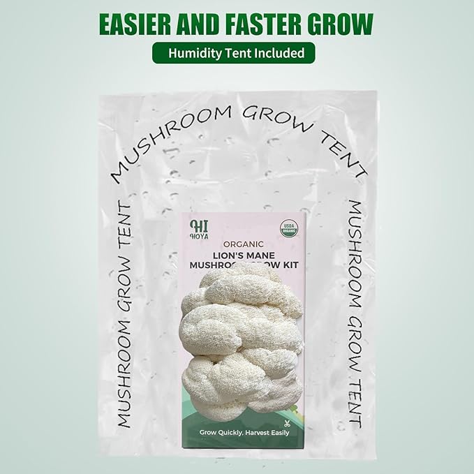 Large Organic Lion's Mane Mushroom Grow Kit with Spray & Accessories, Fresh Edible Mushroom Growing Kit Double-Sided Growable, USDA Certified, Non-GMO, Beginner Friendly, Indoor, Gardening Gift, USA - Image 8
