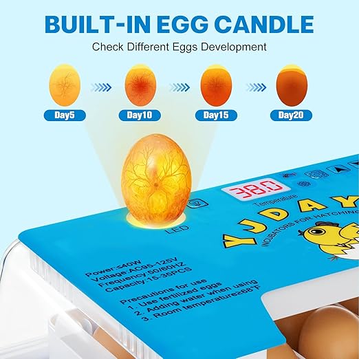 Incubators for Hatching Eggs 15-35 Eggs Incubator with Automatic Egg Turning and ℉Temperature Display LED Candler Poultry Incubator for Hatching Chicken Duck and Quail Incubator (Blue) - Image 3