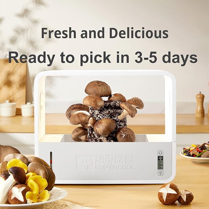 Mushroom Grow Box with LCD Display and LED Grow Light, Smart Mushroom Growing Tent with Auto-Adjusts Temperature and Humidity, 3-5 Days Picking, Soilless Visual Still Air Mushroom Box for Spores - Image 6