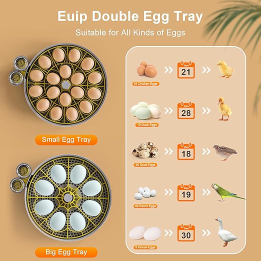 Incubator for Hatching Eggs-18 Egg Capacity, Automatic Egg Turner, Temperature & Humidity Control, 360° Viewing for Chicken, Duck and Quail Eggs - Image 5