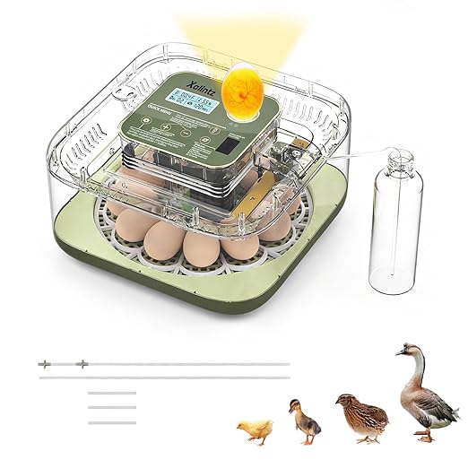 Automatic 12 Egg Incubator - Digital Temperature/Humidity Display, Hatch Day Countdown, Auto Egg Turner & Candler with 360° View for Hatching Chicken, Duck, Quail Eggs by Unknown