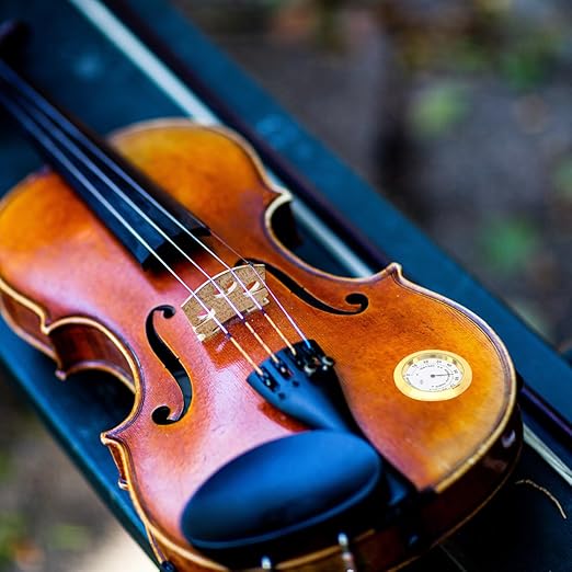 Round Golden Hygrometer for Violin and Guitar Cases - Accurate Humidity Indicator for Instrument Maintenance and Care - Image 9