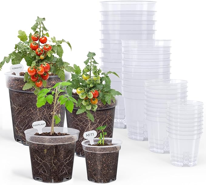 homenote Clear Nursery Pots for Plants,3/4/5/6.7 Inch Plant Pot for Planting Plastic Seedling Pots with Drainage Holes Seed Starter Pot Flower Pots High Transparency with 20 Plant Labels (36 Pack) by HOMENOTE