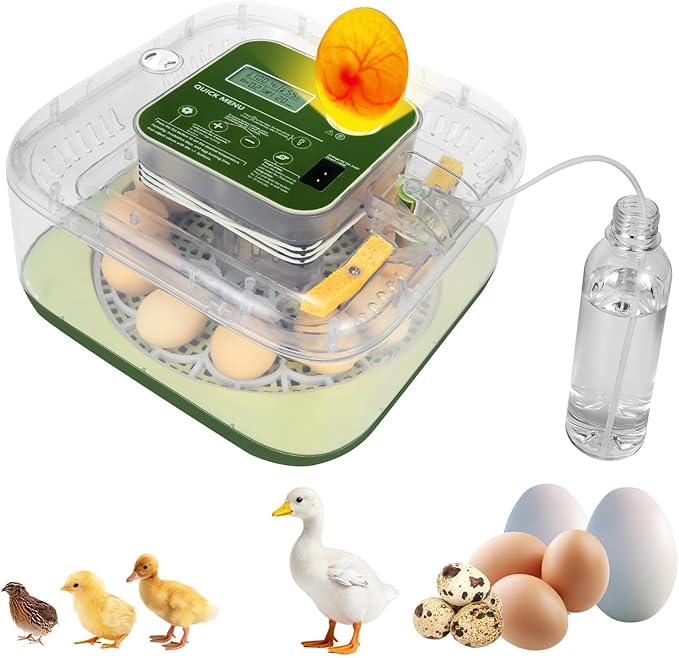 2026 New Auto 12-Egg Incubator for Beginners, Automated Incubation, Sensor-Based Precise Humidity & Temp Control, Custom-Interval Auto Turn & Auto Stop, Preset Incubation Days, Candler by ZEMIROCHARGE